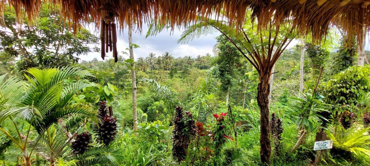 Second Home Bungalows Tetebatu Ngoại thất bức ảnh